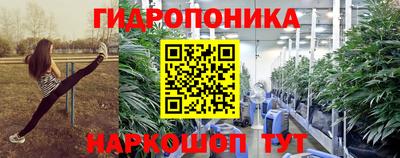 эйфоретик Можга