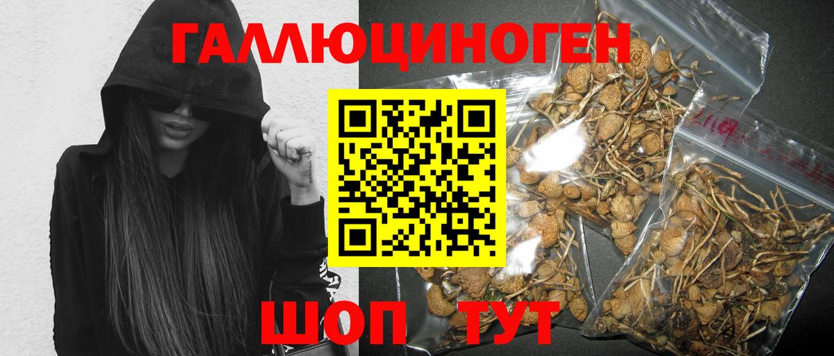 Дальнегорск  Галлюциногенные грибы MAGIC MUSHROOMS  Вход с VPN 