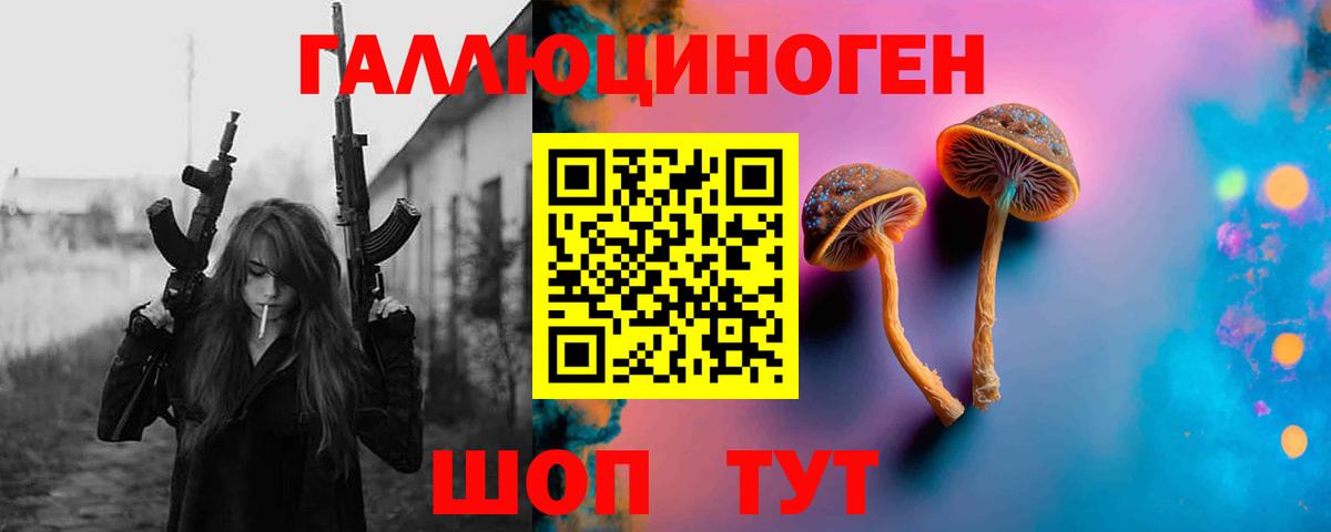 Псилоцибиновые грибы мицелий Дальнегорск